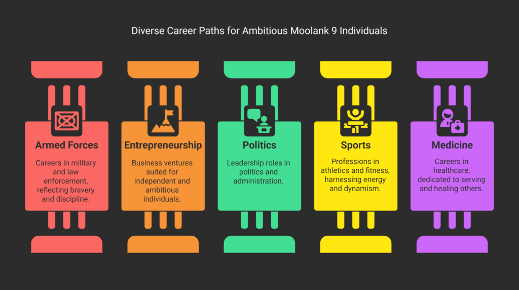 Career and Professional Life of Moolank 9 - visual selection moolank 9